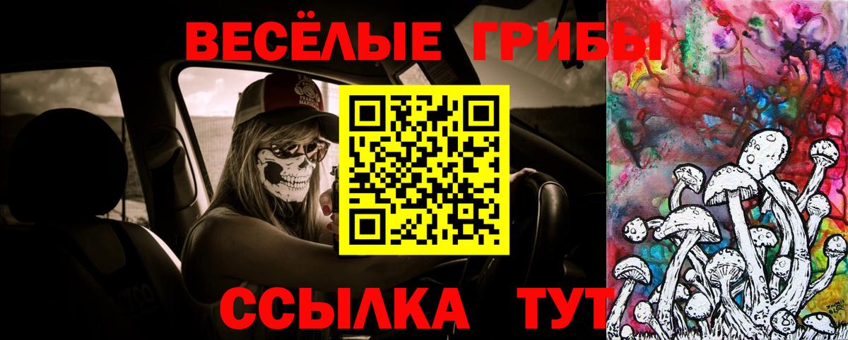 Галлюциногенные грибы GOLDEN TEACHER Коряжма