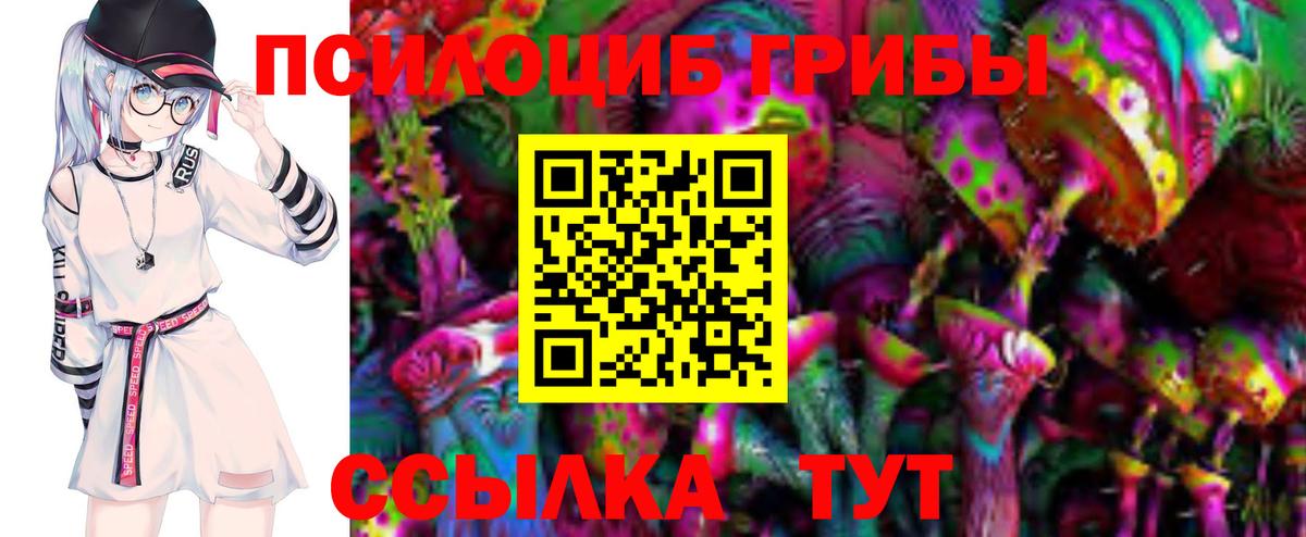 Коряжма  Галлюциногенные грибы Magic Shrooms  дарнет шоп  Вход с VPN 