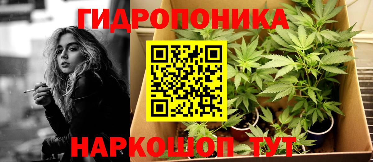 Конопля гибрид Коряжма